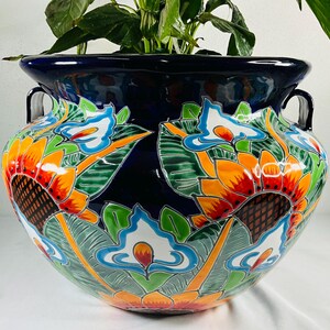 May include: A large, round, ceramic planter with a dark blue exterior and colourful floral designs. The planter features orange, yellow, green, and blue flowers and leaves. It has two small handles and is filled with green plants.