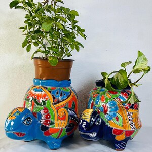 May include: Two turtle-shaped ceramic planters featuring vibrant, multi-coloured floral patterns in shades of blue, orange, green, and yellow. The larger turtle on the left holds a green plant in a brown plastic pot, while the smaller turtle on the right contains a trailing green and white variegated plant.
