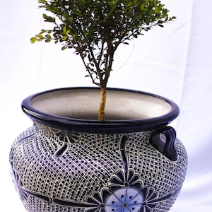 Talavera michoacana con puntos