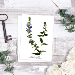 Blue Lobelia Botanical Card - Blanco Wenskaart - A7