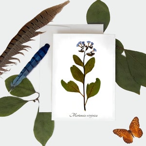 Karta botaniczna Virginia Blue Bells - Karta okolicznościowa z nadrukiem roślinnym - Rozmiar A7