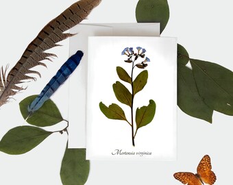 Virginia Blue Bells Botanical Card - Carte de vœux d’impression de plantes pressées - Taille A7