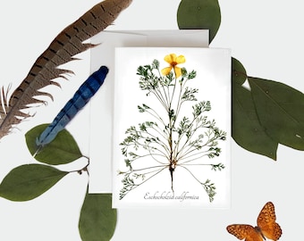 California Poppy Botanical Card - Pressed Botanical Print- Size A7