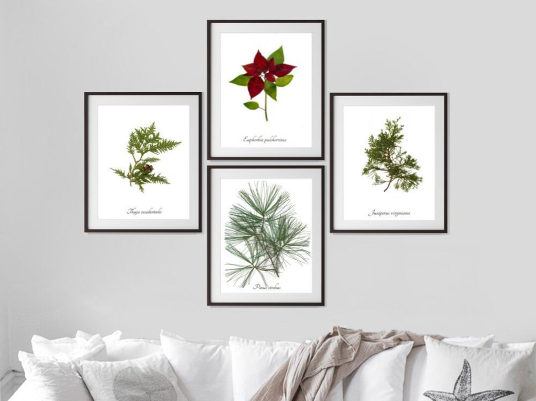 Christmas Botanical Print Set - 4 Winter Decoration Art Prints - Yule ...