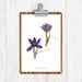 see more listings in the Affiche section