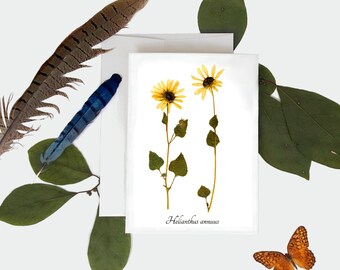 Carte botanique de tournesol - Carte de vœux d’impression de plantes pressées