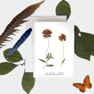 Firewheel Botanical Print Card - Pressed Plant Greeting Card