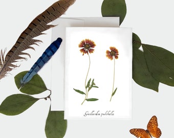 Firewheel Botanical Print Card - Pressed Plant Greeting Card