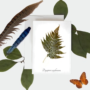 Carte botanique Autumn Fern - Taille A7 - Vierge à l’intérieur - Carte d’impression botanique