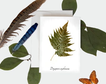 Carte botanique Autumn Fern - Taille A7 - Vierge à l’intérieur - Carte d’impression botanique