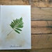 see more listings in the ferns section