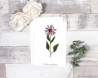 Purple Coneflower Botanical Greeting Card - Blank Greeting Card - A7