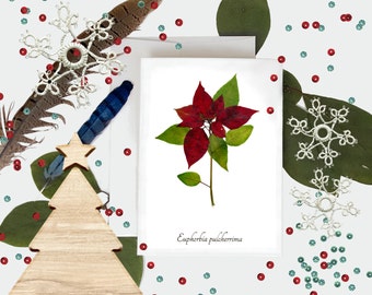 Tarjeta navideña de Poinsettia - Tarjeta de Navidad con impresión de planta prensada - Tarjeta Yule - Decoración de invierno