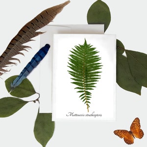 Struisvogelvaren Botanische Kaart - Geperste Plant Print Wenskaart