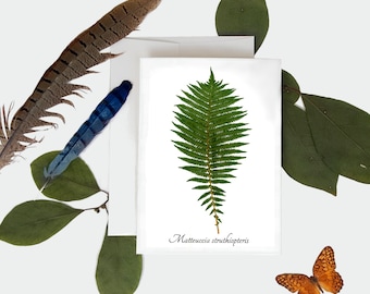 Ostrich Fern Botanical Card - Pressed Plant Print Greeting Card