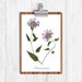 see more listings in the Affiche section