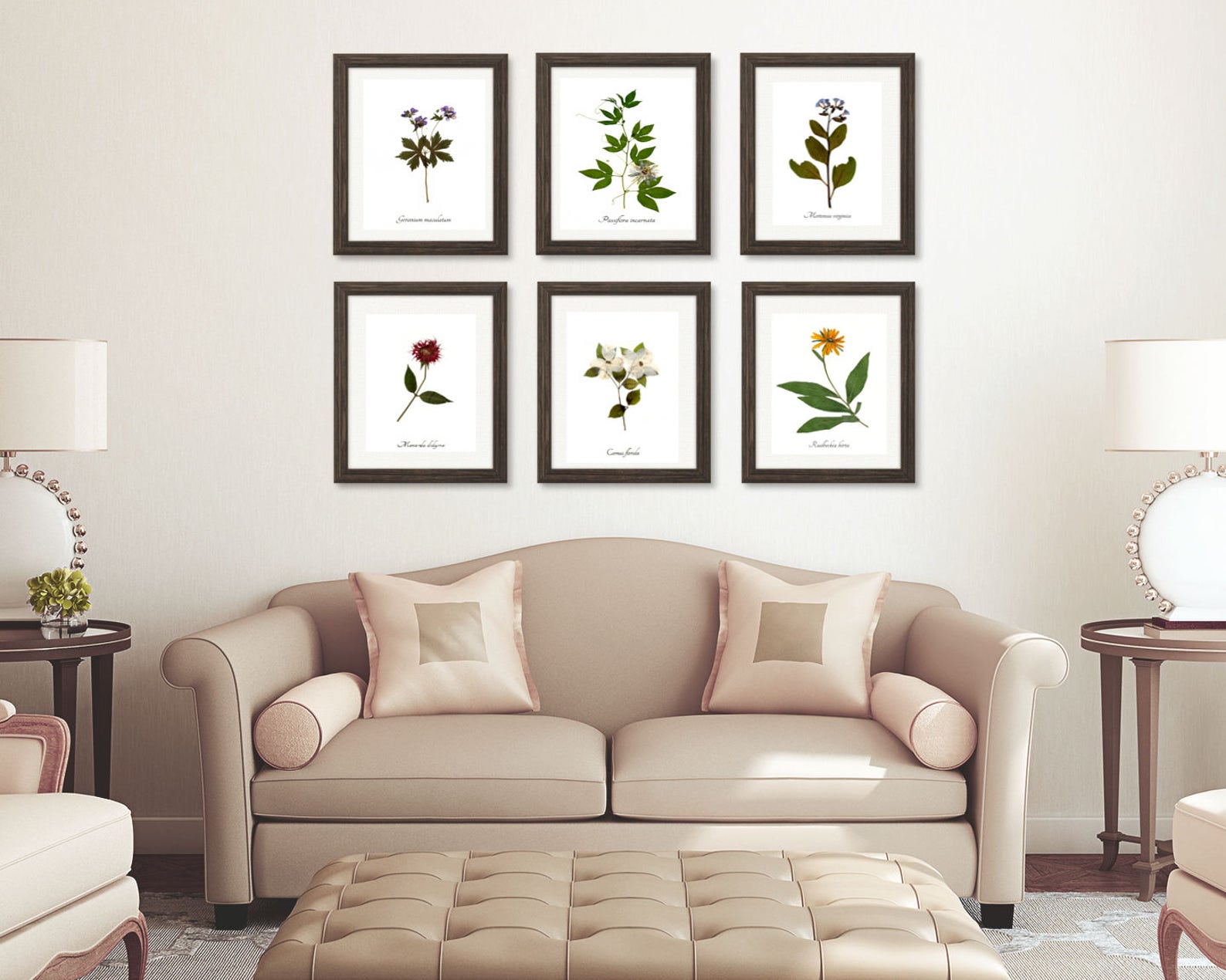 Wildflower Print Set - Set of 6 Flower Botanic Prints - Herbarium ...