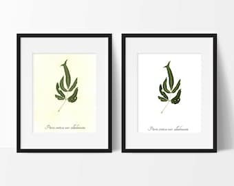 Fern Botanical PRINT - Cretan Brake Fern Botanical Art Print