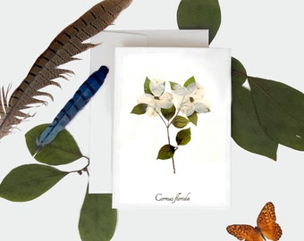 Carte de vœux botanique de cornouiller - Impression de plantes pressées
