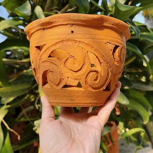May include: A terracotta plant pot with a carved design. The pot is a warm, earthy orange-brown colour, with a wide, slightly wavy rim. The sides feature cut-out patterns. The pot is held in a hand, with green foliage in the background.