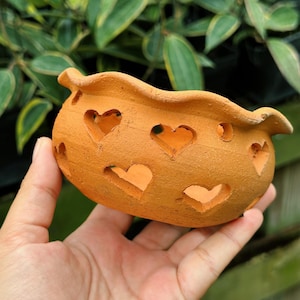 May include: A small, terracotta-colored ceramic pot with heart-shaped cutouts. The pot has a textured surface and a wavy rim. The background features green foliage.