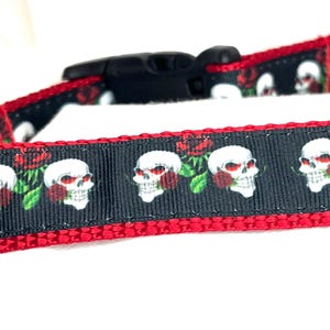 Skulls, Roses, Dog Collar, Large