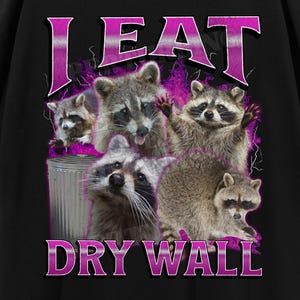 I Eat Dry Wall Funny Raccoon Meme Bootleg Graphic T shirt, Unhinged Shirt, Offensive T shirts, Inappropriate Shirt, Cringe Shirt, Gen z Gift