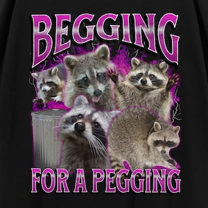 Begging For A Pegging Funny Raccoon Meme Bootleg Graphic T shirt, Unhinged Shirt, Offensive T shirts, Inappropriate Cringe Shirt, Gen z Gift