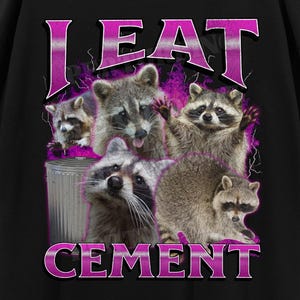 I Eat Cement Funny Raccoon Meme Bootleg Graphic T shirt, Unhinged Shirt, Offensive T shirts, Inappropriate Shirt, Cringe Shirt, Gen z Gift
