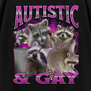 Autistic and Gay Funny Raccoon Meme Bootleg Graphic T shirt, Unhinged Shirt, Offensive T shirts, Inappropriate Shirt, Cringe Shirt, Gen z