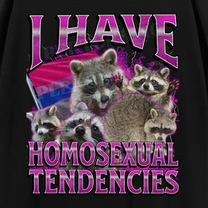 I Have Homosexual Tendencies Funny Raccoon Meme Bootleg Graphic T shirt, Bisexual Shirt, Unhinged, Offensive T shirts, Inappropriate, Lgbtq