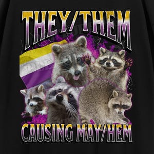 Peut inclure: T-shirt noir avec un motif de ratons laveurs et le texte "THEY/THEM CAUSING MAY/HEM". Comprend un drapeau de la fierté non binaire. Le design est placé sur un fond pixélisé avec des cœurs et des étoiles filantes.