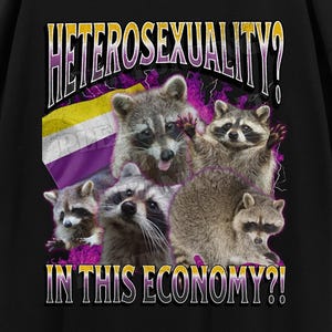 May include: Black t-shirt with a graphic featuring raccoons and the text "HETEROSEXUALITY? IN THIS ECONOMY?!" The shirt also has the words "Streetwear Tee" and "Perturbing Tees". Pixelated hearts, stars, and a cat are in the background.