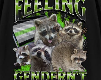 Camiseta con meme de mapache pirata que no se siente divertida con género, camiseta agénero, camisetas ofensivas y desquiciadas, camiseta LGBTQ divertida queer, género