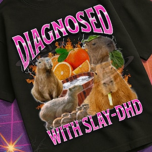 May include: Black t-shirt with a graphic of capybaras, oranges, and the text "DIAGNOSED WITH SLAY-DHD" in pink. The design has a retro aesthetic, with "MILDLY PERTURBED" at the bottom. The image is set against a vintage background.