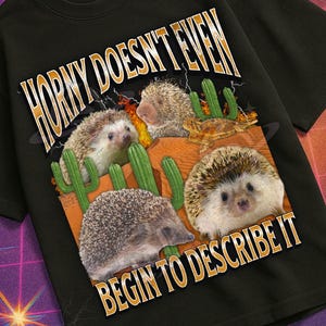 May include: Black short-sleeved t-shirt with the text "HORNY DOESN'T EVEN BEGIN TO DESCRIBE IT" and a graphic of four hedgehogs and cacti. The shirt also has the text "MILDLY PERTURBED" at the bottom.