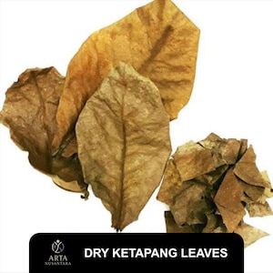 Dry Ketapang Leaves for Fish Tank 1kg, Indian Almond Leaves, Blackwater Aquarium, Natural Fish Care, Shrimp Safe Leaves