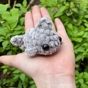 May include: A small gray plush toy shaped like a shark with black eyes. The toy is sitting in the palm of a hand.