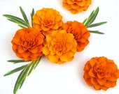 The Marigold Paper Flowers - set of 5