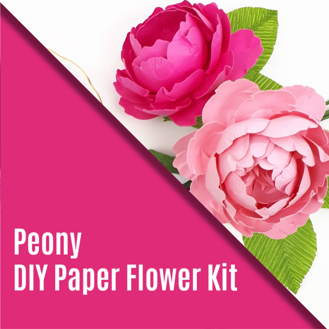 Paper Flower Kit - Peony. Papercraft kit for women. A creative