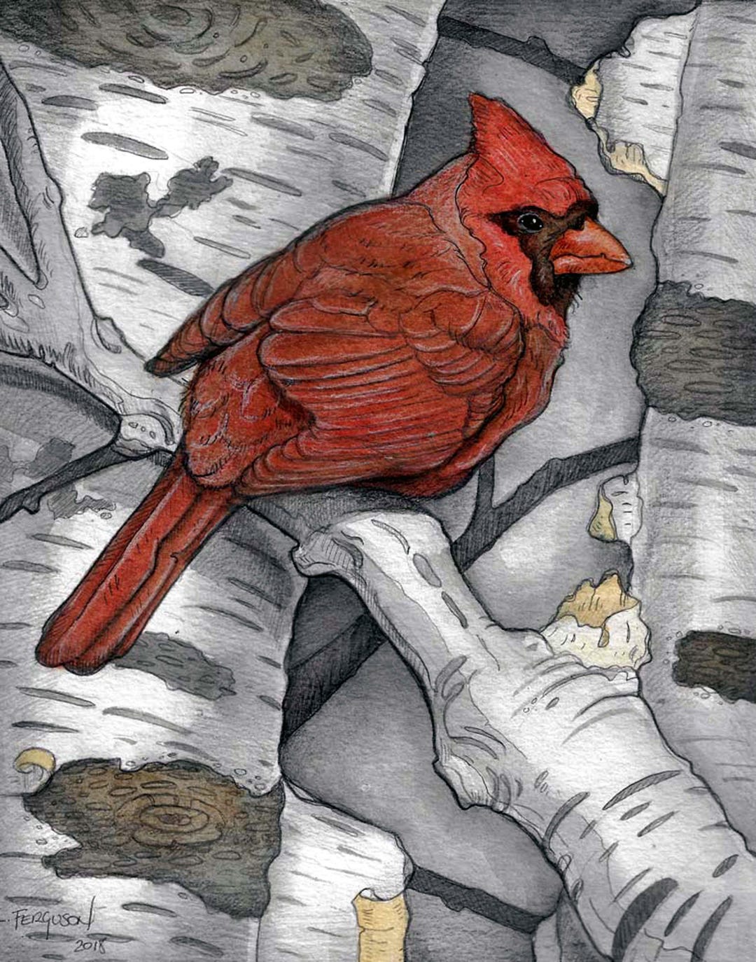 Cardinal - Rug Hooking Pattern by Lisa Ferguson - Etsy