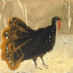 Wild Turkey - Rug Hooking  pattern by artist Lindsay Bowles