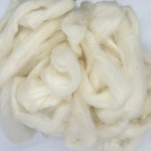 May include: A close-up shot of a pile of soft, off-white wool roving. The fibers are loosely arranged, creating a fluffy, textured appearance. The wool appears clean and ready for crafting projects like spinning or felting.