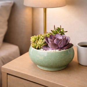 Peut inclure: Un petit pot en céramique vert clair, rond, rempli de différentes succulentes. L'arrangement comprend une grande succulente violette et des plus petites vertes, avec des cailloux blancs. Le pot est posé sur une table de chevet en bois.