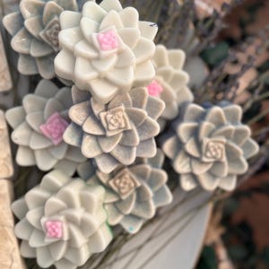 Sappige zeepreep – Handgemaakte havermelkzeep met cactusbloesemgeur, natuurlijke huidverzorging, plantenliefhebbercadeau, decoratieve badzeep