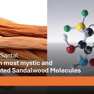 Puede incluir: Imagen dividida en dos. A la izquierda, varios trozos de madera marr&oacute;n clara y oscura est&aacute;n dispuestos. A la derecha, un modelo molecular con esferas de colores y varillas de conexi&oacute;n. El texto dice "Molecular Santal Made from most mystic and sophisticated Sandalwood Molecules."