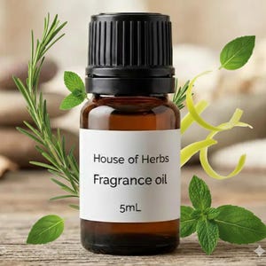Peppermint, lemongrass, basil, rosemary brings, and thyme Fragrance/Diffuser Oil-House of Herbs| Green Citrus Fresh Scent