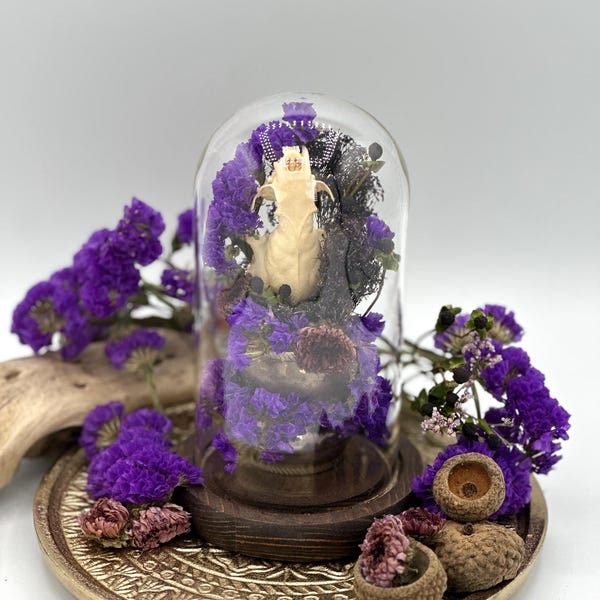 Mink Skull Cloche dTerrarium with Dried Flowers- Real Animal Bone Art in Glass Dome-Curio Decor-Gothic Nature Display-Oddities & Curiosities