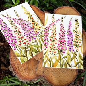Tarjetas de dedalera pintadas a mano con acuarela (tarjetas de 5x7)