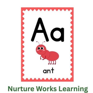 May include: A red and white alphabet flashcard with the letter A in black. The letter A is in uppercase and lowercase. An illustration of a red ant is below the letter. The word "ant" is written below the ant.